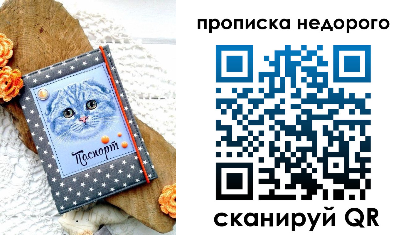 временная регистрация надежно в Ярославской области